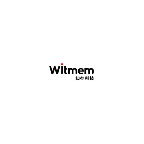 知存 Witmem